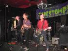 Fleshtones_2